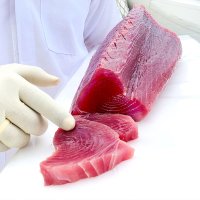 Tuna Loins -   Grade #1 Sashimi & Grade A Series